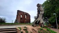 043 - Kirchruine Trzesacz Hoff