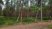 048 - Radweg von Pogorzelica bis Mrzezyno