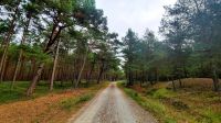 049 - Radweg von Pogorzelica bis Mrzezyno