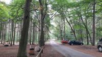 091 - See in Studnica