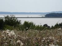 Auf der Fahrt nach Steinort