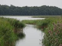 Schifffahrt nach Lötzen