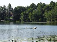 Morgens am Czossee in Mragowo