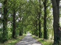 Auf der Fahrt nach Zondern