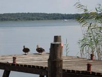 Rast auf der Fahrt nach Nikolaiken