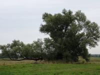 auf der Fahrt nach Wojnowo