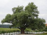 auf der Fahrt nach Wojnowo