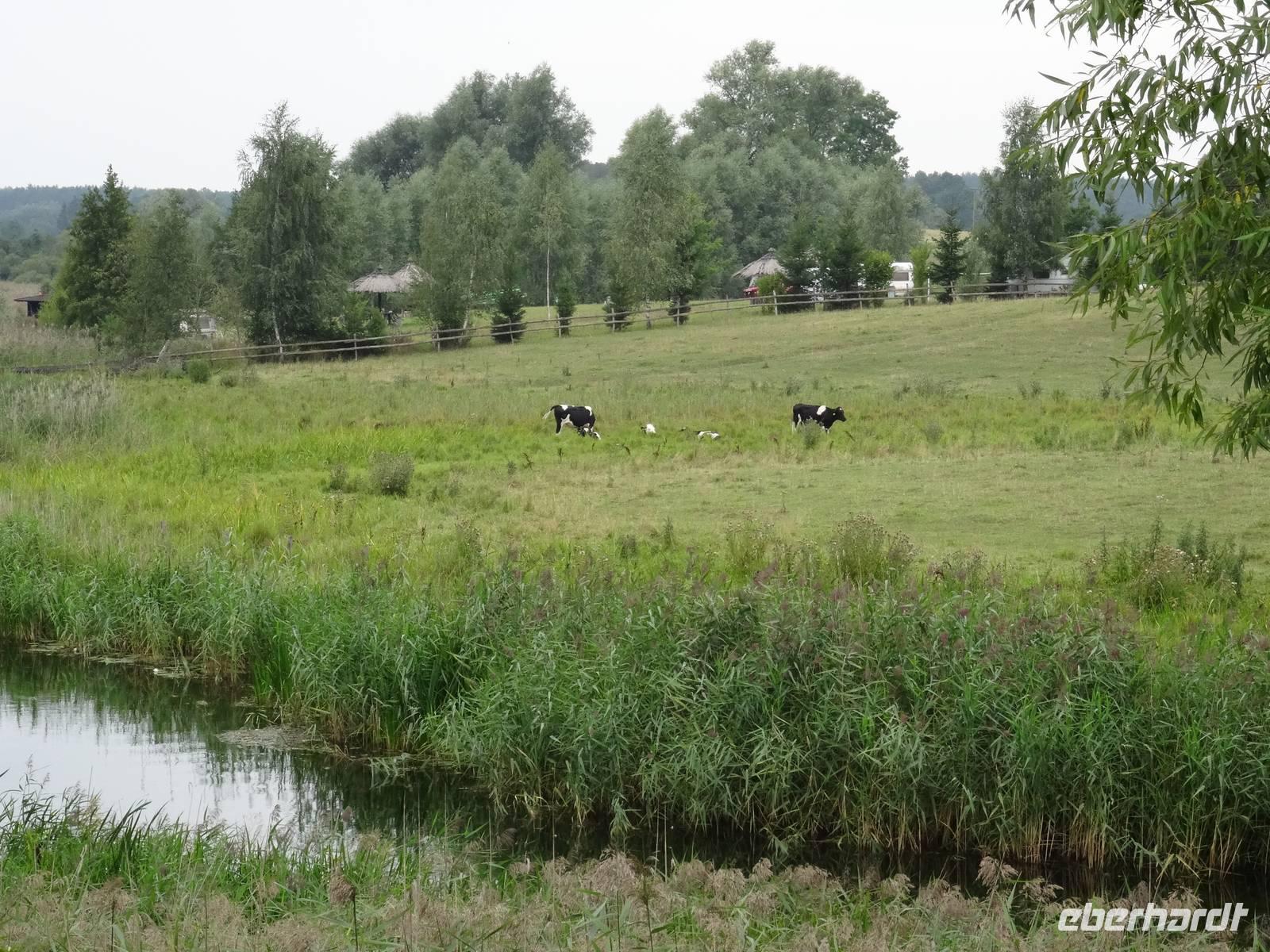 auf der Fahrt nach Wojnowo
