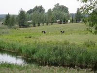 auf der Fahrt nach Wojnowo