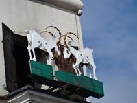 Poznan - Glockenspiel der Rathaus-Uhr