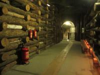 Wieliczka-Salzmine