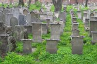 Jüdischer Friedhof in Kazimiercz