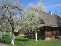 Frühling im Bauernmuseum Oppeln
