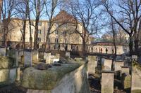 Andächtiger Rundgang auf dem jüdischen Friedhof