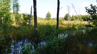 114 Masurische Landschaft