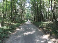 Radwege durch Masurische Wälder