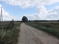 masurische Impressionen