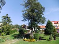 im Garten von Christel