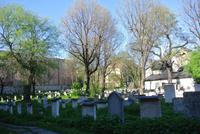 Jüdischer Friedhof in Kazimierz