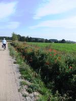 masurische Impressionen