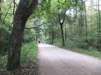 Fahrt durch den großen Masurischen Landschaftspark