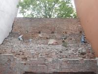 kleine Skulpturen an einigen Wänden in Toruns Altstadt