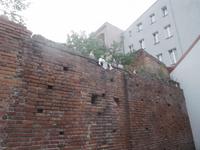 kleine Skulpturen auf Mauern in Toruns Altstadt