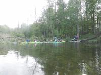 uns kam auch leider eine Birke dazwischen