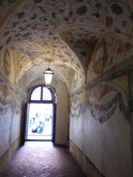 Professorengang Krakau