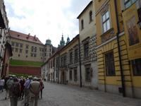Reisegruppe und erster Blick auf den Wawel in Krakau