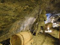 traditioneller Transport in Wieliczka