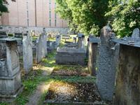 Jüdischer Friedhof in Krakau