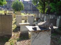 Jüdischer Friedhof in Krakau