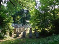 Jüdischer Friedhof in Krakau