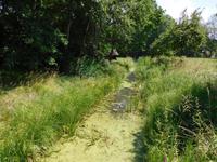 Mühlgraben im Freilichtmuseum Oppeln