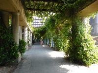 Pergola bei der Jahrhunderthalle Breslau