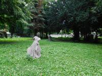 auf dem Friedhof der Friedenskirche Schweidnitz