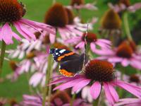 auf den Spuren der Natur
