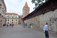 Künstler stellen ihre Werke an der Stadtmauer zur Schau