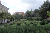 Grün findet man in vielen Höfen der Stadt