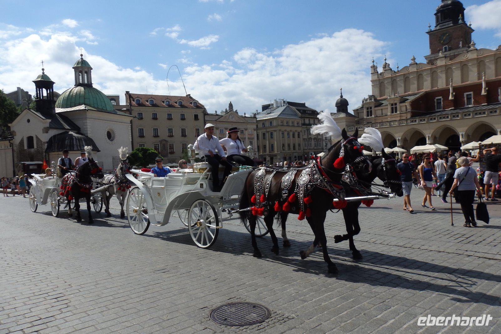 Eine Augenweide sind die weißen Kutschen mit den hübsch geschmückten Pferden