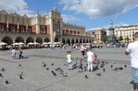 Natürlich gehören auch die Tauben hierher