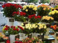 Krakau, Rundgang: Blumenmarkt