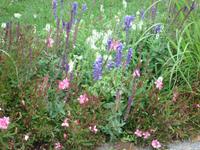 Breslau: Rundgang: Dominsel