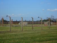 Auschwitz (9)