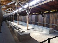 Auschwitz (15)
