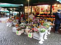Der Blumenmarkt am Rynek