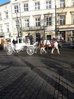 wunderschöne Pferdekutsche