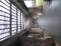 066 Jahrhunderthalle