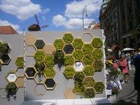 Eine Wand mit Pflanzen gestaltet